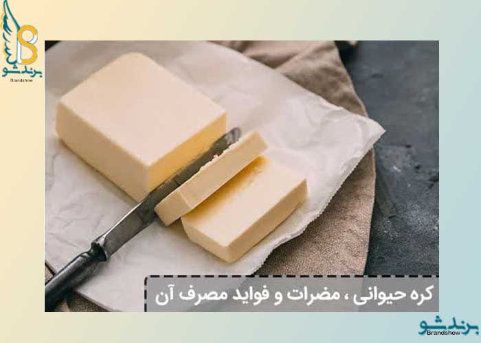 فواید و مضرات مصرف لبنیات