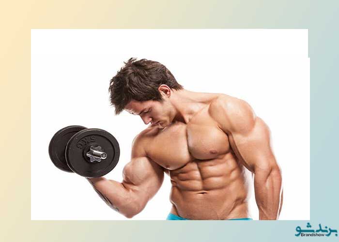 شناخت آناتومی عضلات و تکنیک تمرینی